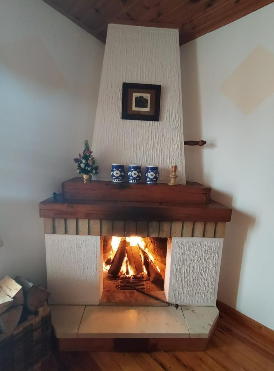 Apartmani Milic Sirogojno Værelse billede