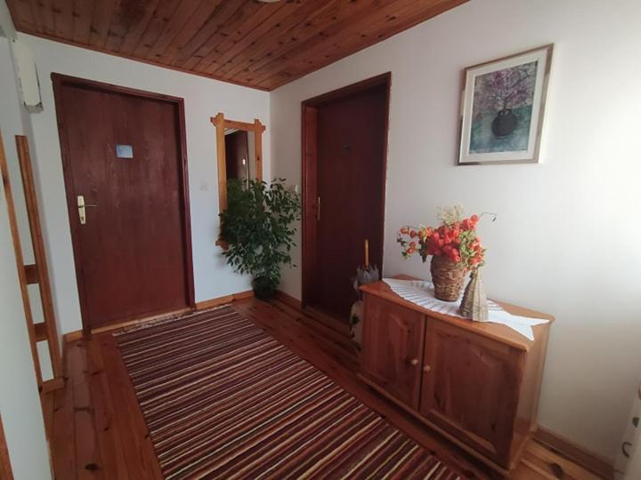 Apartmani Milic Sirogojno Eksteriør billede